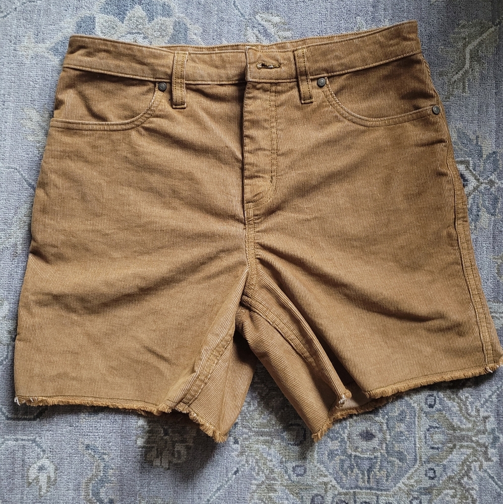 Carve Design OAHU Chord 6" Shorts